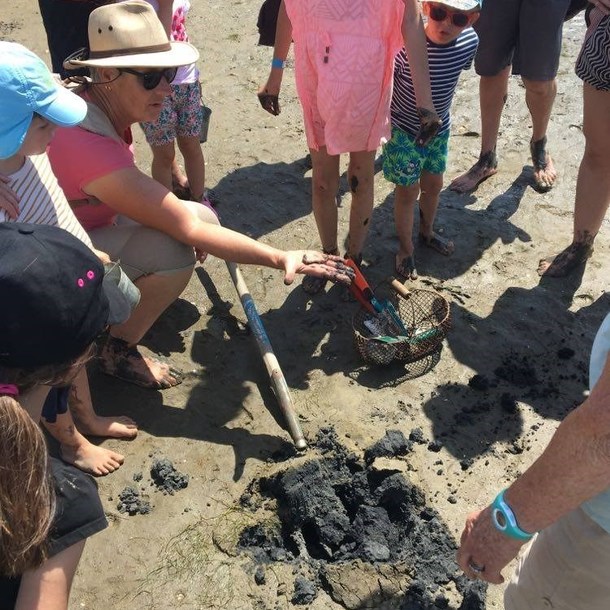 Les Trésors de la Plage à Marée Basse 